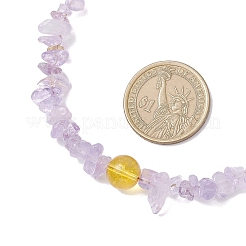 Natural Ametrine Chip Beaded Necklaces&nbsp;NJEW-JN05509