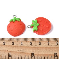 12Pcs 12 Styles Opaque Resin Pendants&nbsp;RESI-V001-04
