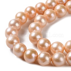 Natural Cultured Freshwater Pearl Beads Strands&nbsp;PEAR-E018-24