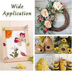 DIY Jewelry Making Finding Kit&nbsp;FIND-PJ0001-17
