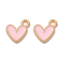 Alloy Enamel Charms&nbsp;FIND-G055-20G