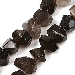Natural Smoky Quartz Beads Strands&nbsp;G-F796-D06-01