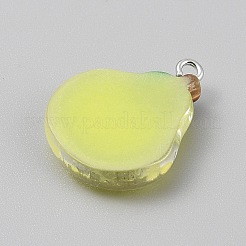 Opaque Resin Pendants&nbsp;RESI-CJC0029-001A-02