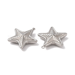 Non-Tarnish 304 Stainless Steel Pendants&nbsp;STAS-C073-03P