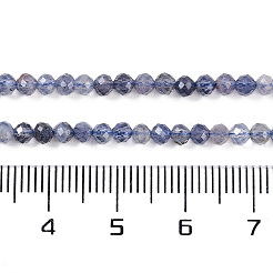 Natural Iolite Beads Strands&nbsp;G-N342-32