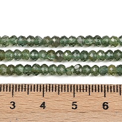 Natural Green Apatite Beads Strands&nbsp;G-E194-04-01