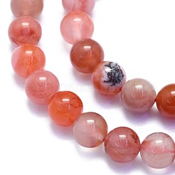 Natural South Red Agate Beads Strands&nbsp;G-K310-C03-8mm
