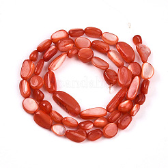 Natural White Shell Beads Strands&nbsp;SHEL-N036-21F