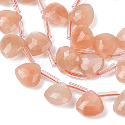 Natural Sunstone Beads Strands&nbsp;G-L654-L02-01