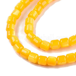 Natural Freshwater Shell Beads Strands&nbsp;SHEL-N003-33-A08