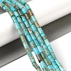 Natural Imperial Jasper Beads Strands&nbsp;G-Q169-A02-01A
