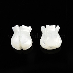Natural Trochid Shell/Trochus Shell Beads&nbsp;SSHEL-N003-145A-B01