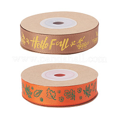 2 Rolls 2 Styles Thanksgiving Day Themes Polyester Ribbon&nbsp;OCOR-TA0003-29B