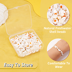 160Pcs 8 Styles Natural Freshwater Shell Beads Strands&nbsp;SHEL-TA0001-08