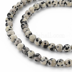 Natural Dalmatian Jasper Bead Strands&nbsp;G-R345-4mm-51-01