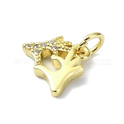 Heart Theme Brass Micro Pave Cubic Zirconia Charms&nbsp;KK-H475-56G-02