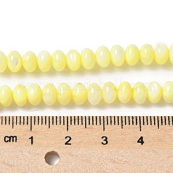Natural Freshwater Shell Beads Strands&nbsp;SSHEL-C013-07C