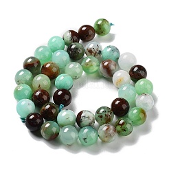 Natural Chrysoprase Beads Strands&nbsp;G-G057-A01-01