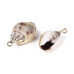 Electroplate Natural Sea Shell Pendants&nbsp;SSHEL-T017-44