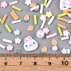 Handmade Polymer Clay Cabochons&nbsp;CLAY-N013-19