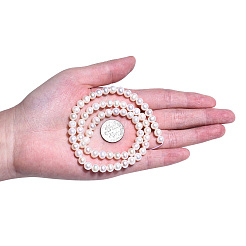 Natural Cultured Freshwater Pearl Beads Strands&nbsp;PEAR-N013-05E