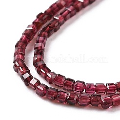Natural Garnet Beads Strands&nbsp;X-G-P457-B01-22-A