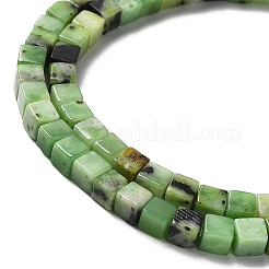 Natural Serpentine Beads Strands&nbsp;G-L585-C01-01