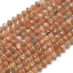 Natural Peach Moonstone Beads Strands&nbsp;G-P573-A35-01