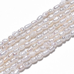 Natural Cultured Freshwater Pearl Beads Strands&nbsp;PEAR-N012-02H