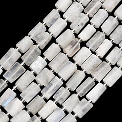 Natural Rainbow Moonstone  Beads Strands&nbsp;G-H352-A01-05