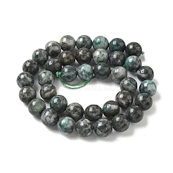 Natural Dioptase Beads Strands&nbsp;G-D302-02-10mm
