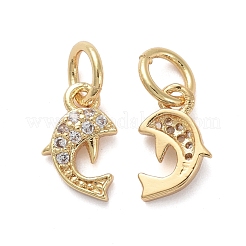 Brass Micro Pave Clear Cubic Zirconia Charms&nbsp;KK-I658-06G