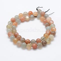 Natural Multi-Moonstone Beads Strands&nbsp;G-P322-43-8mm