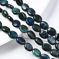 Natural Chrysocolla and Lapis Lazuli Beads Strands&nbsp;X-G-N330-031