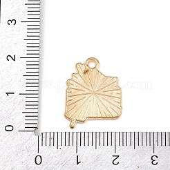 Valentine's Day Alloy Enamel Pendants&nbsp;ENAM-I084-01KCG-33