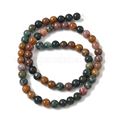 Natural Ocean Jasper Beads Strands&nbsp;G-F668-26-6mm