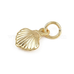 Brass Charms&nbsp;KK-D409-40G-A