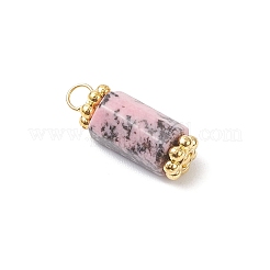 12Pcs 2 Styles Natural Lapis Lazuli and Rhodonite Pendants&nbsp;PALLOY-JF04530