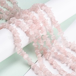 Natural Rose Quartz Beads Strands&nbsp;G-G011-14