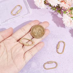 4Pcs 4 Style 304 Stainless Steel Screw Carabiner Lock Charms&nbsp;STAS-UN0029-89