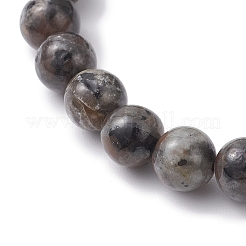 Natural Fluorescent Syenite Rock Beads Stretch Bracelets for Women Men&nbsp;BJEW-JB12371