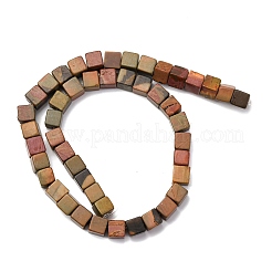 Natural Picasso Stone/Polychrome Jasper Beads Strands&nbsp;G-B155-C10-8x8mm