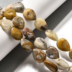 Natural Crazy Agate Beads Strands&nbsp;G-P561-B11-01