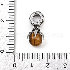 Dragon Claw 316 Surgical Stainless Steel & Round Natural Tiger Eye Pendant Decoration&nbsp;STAS-Z165-07AS-01