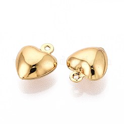 304 Stainless Steel Charms&nbsp;STAS-N118-11G