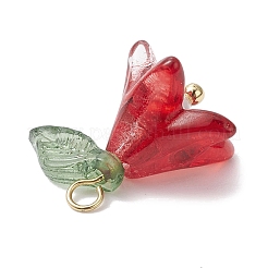 Glass with Acrylic Imitation Pearl Pendants&nbsp;PALLOY-TA00097