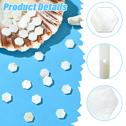 2 Strands Natural Freshwater Shell Beads Strands&nbsp;SSHEL-SC0001-36C