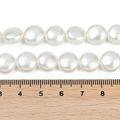 Electroplated Shell Pearl Beads Strands&nbsp;BSHE-G027-13A