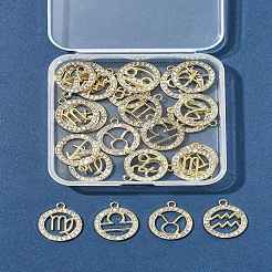 24Pcs 12 Styles Zinc Alloy Crystal Rhinestone Pendants&nbsp;FIND-FS0004-40