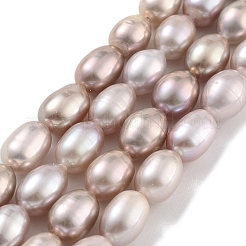 Natural Cultured Freshwater Pearl Beads Strands&nbsp;PEAR-P062-10E